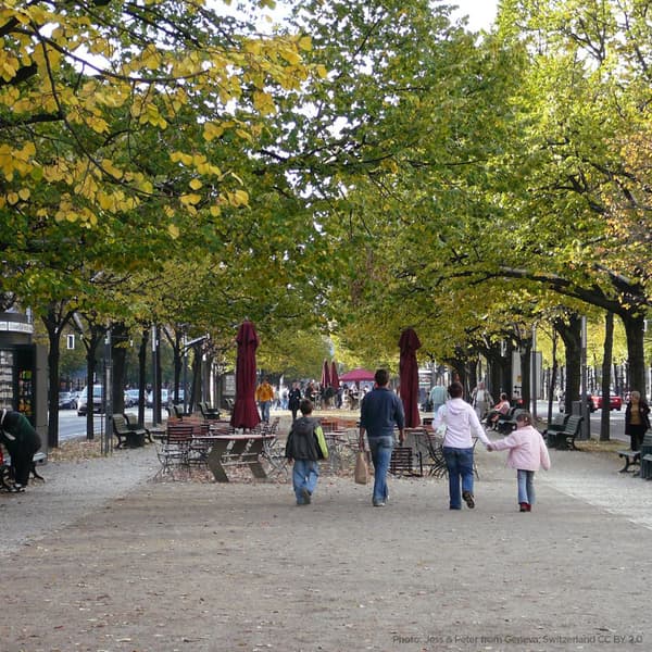 Unter den Linden