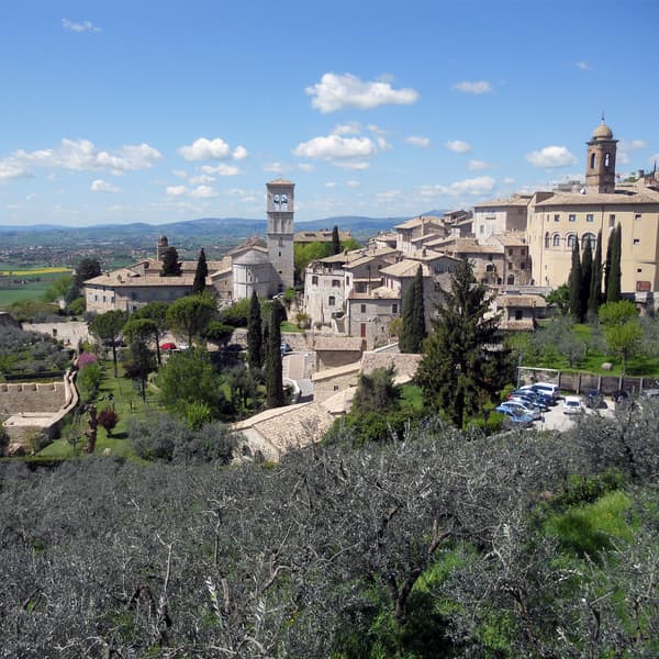 Viewpoint at Basilica of St. Clare