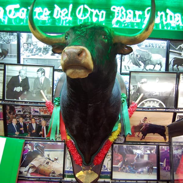 Bullfighting Bar: La Torre del Oro Bar