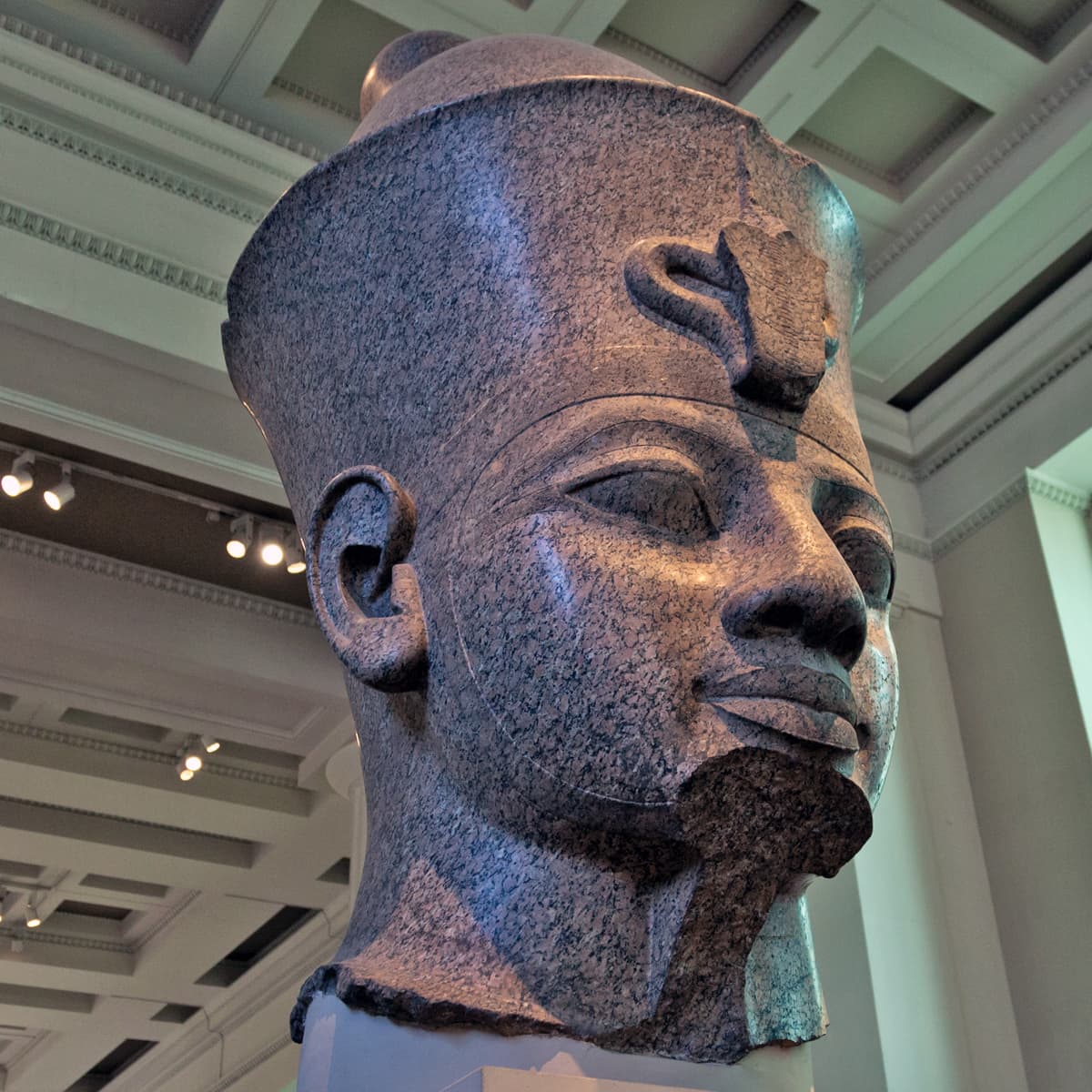 Head and Arm of Statue of Amenhotep