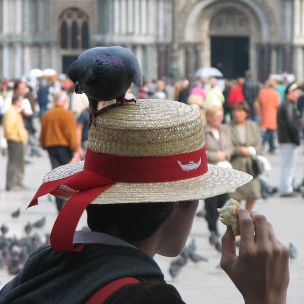 Venice — St. Mark's Square